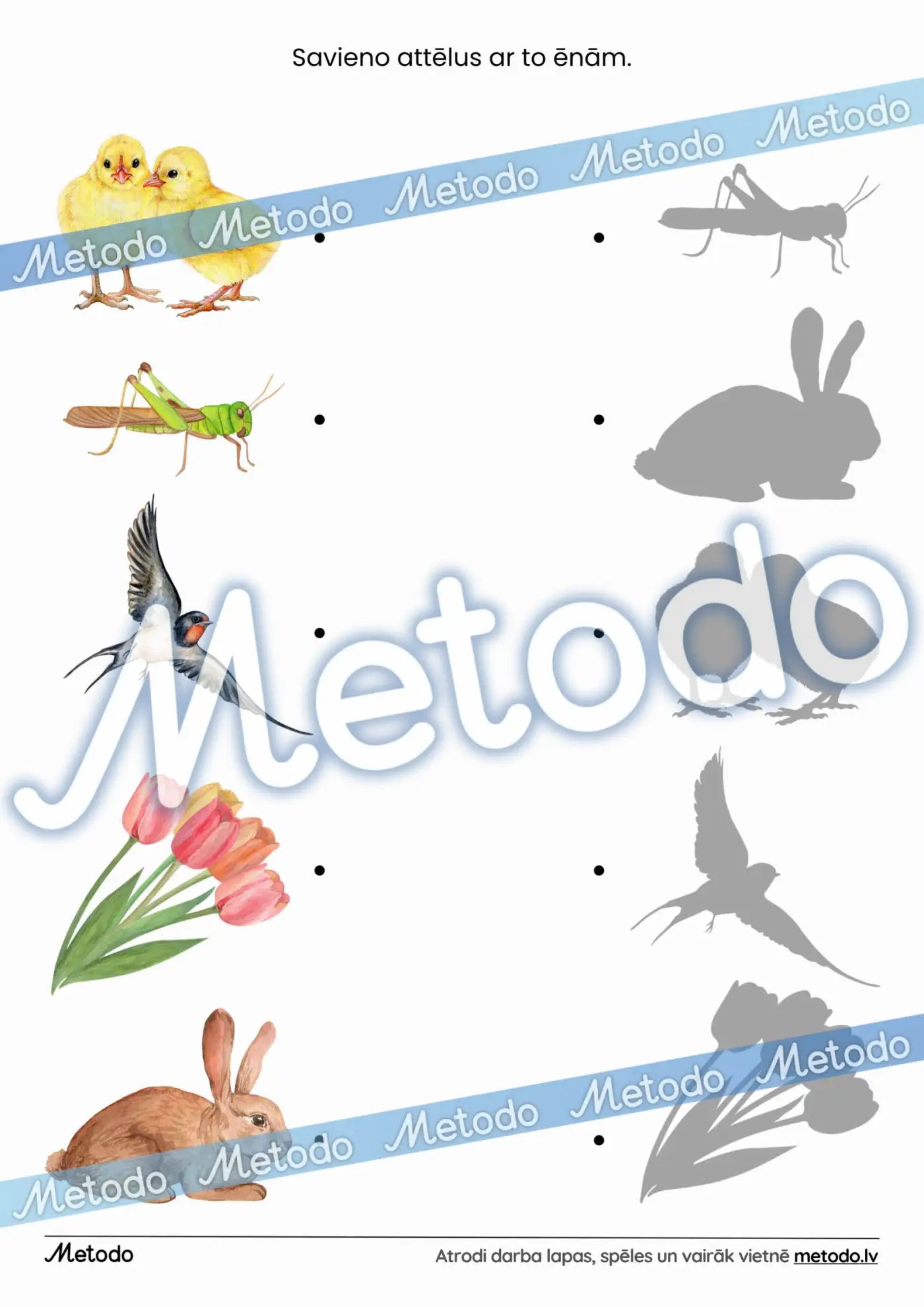 Attēli un to ēnas - 2 darba lapas par ēnām pavasara darba lapas Metodo