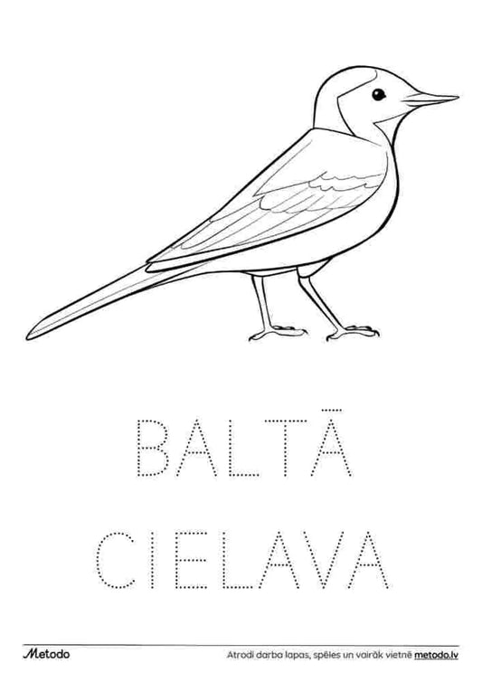 Baltā cielava - krāsojamā lapa