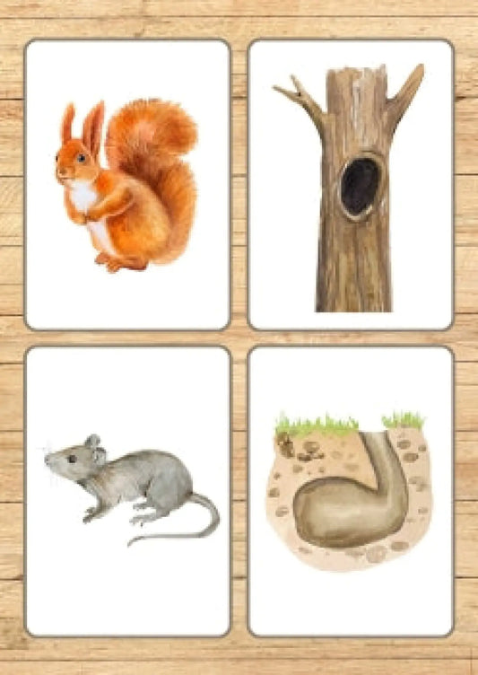 Dzīvnieku mājas - kartītes metodo.lv