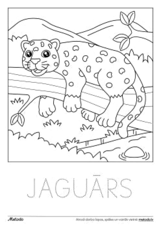 Jaguārs - krāsojamā lapa metodo.lv