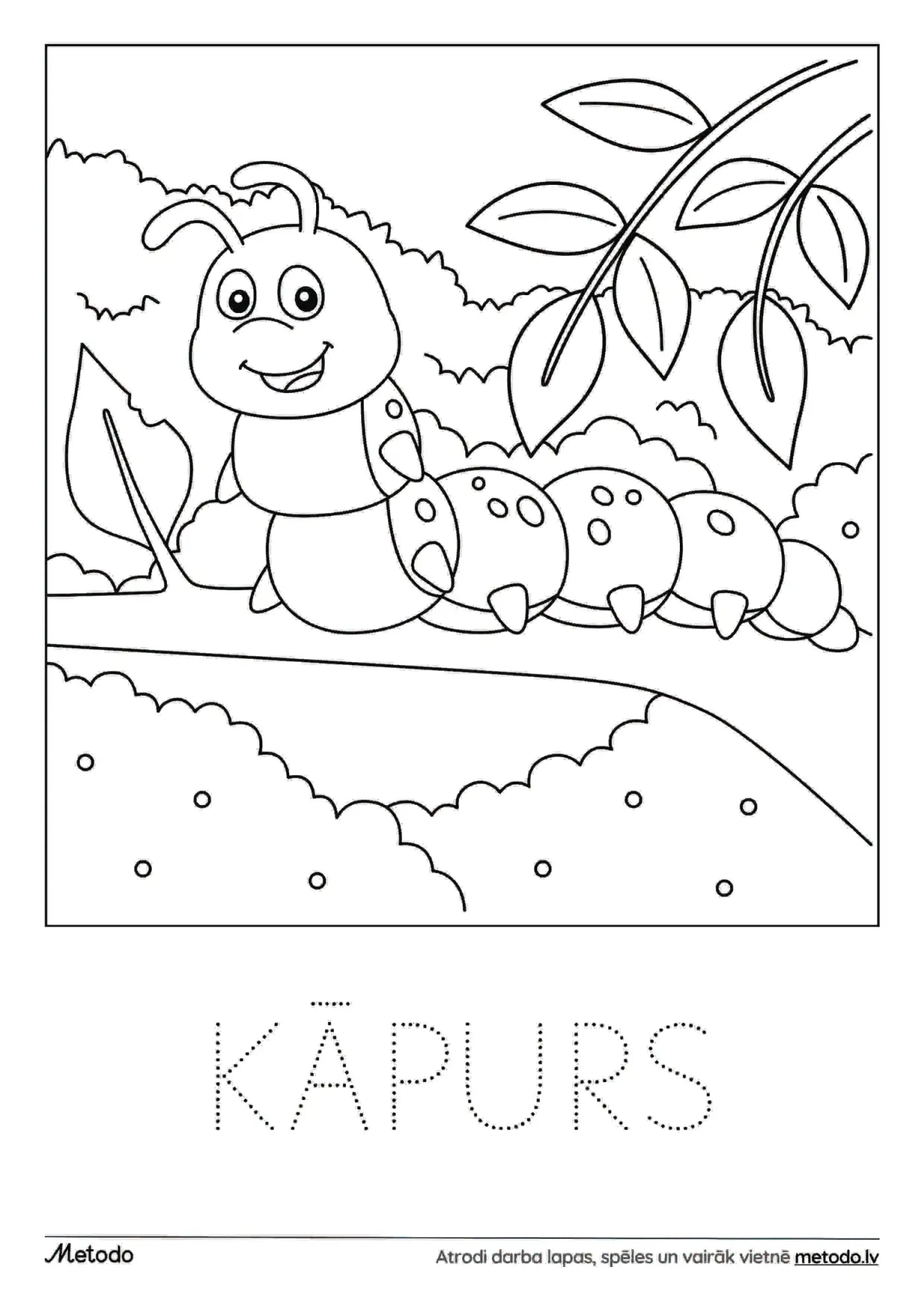 Kāpurs - krāsojamā lapa