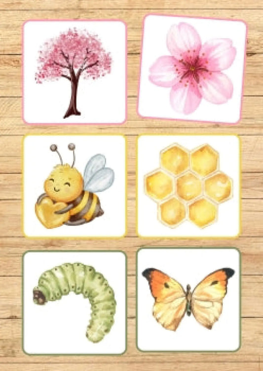 Loģiskie pāri, pavasaris metodo.lv