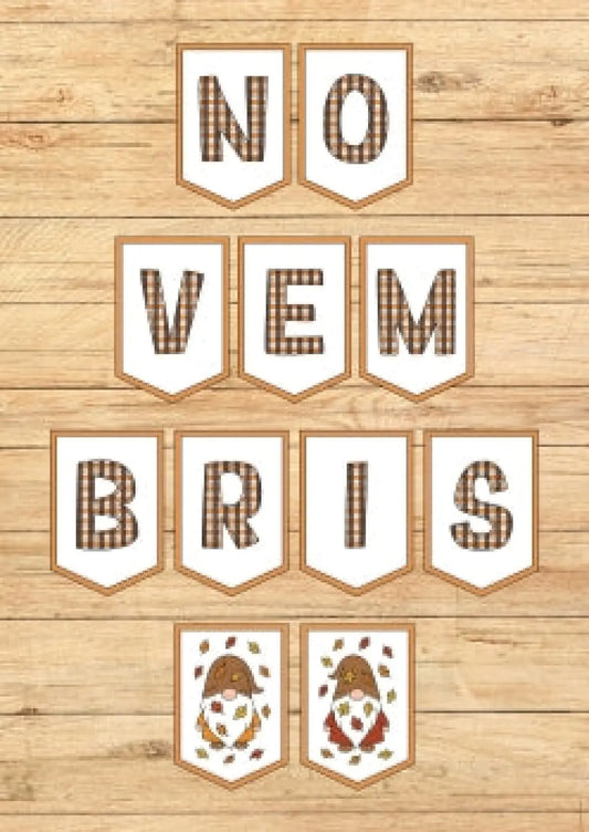 Novembris, karodziņi metodo.lv