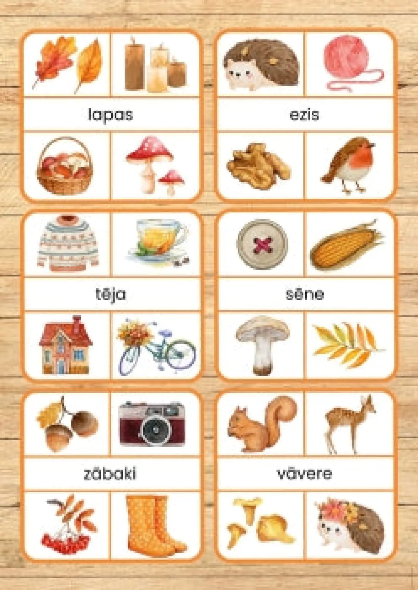 Rudens, pareizais attēls - kartītes metodo.lv
