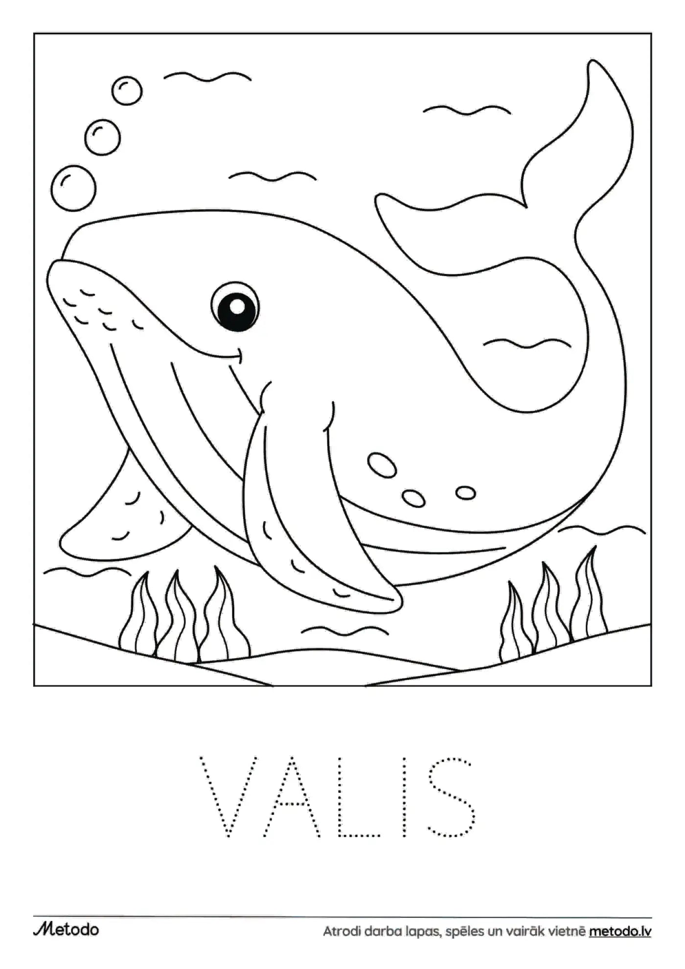 Valis - krāsojamā lapa metodo.lv
